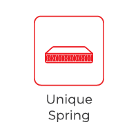 unique-spring.png
