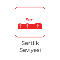 z-sertlik-seviyesi-sert.png